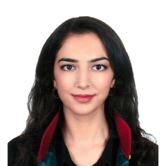 av-beren-eren-master